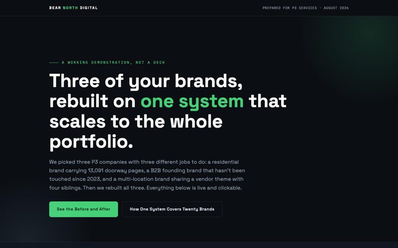 P3 Services pitch page screenshot