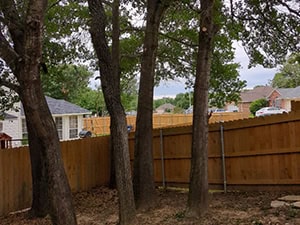 Tree trimming and care