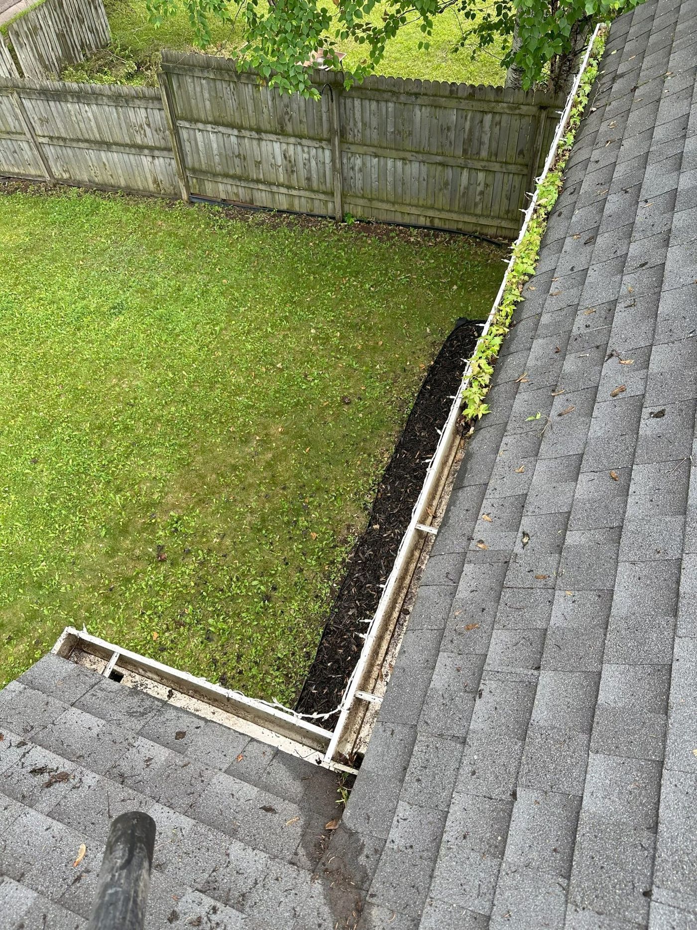 What comes out of gutters