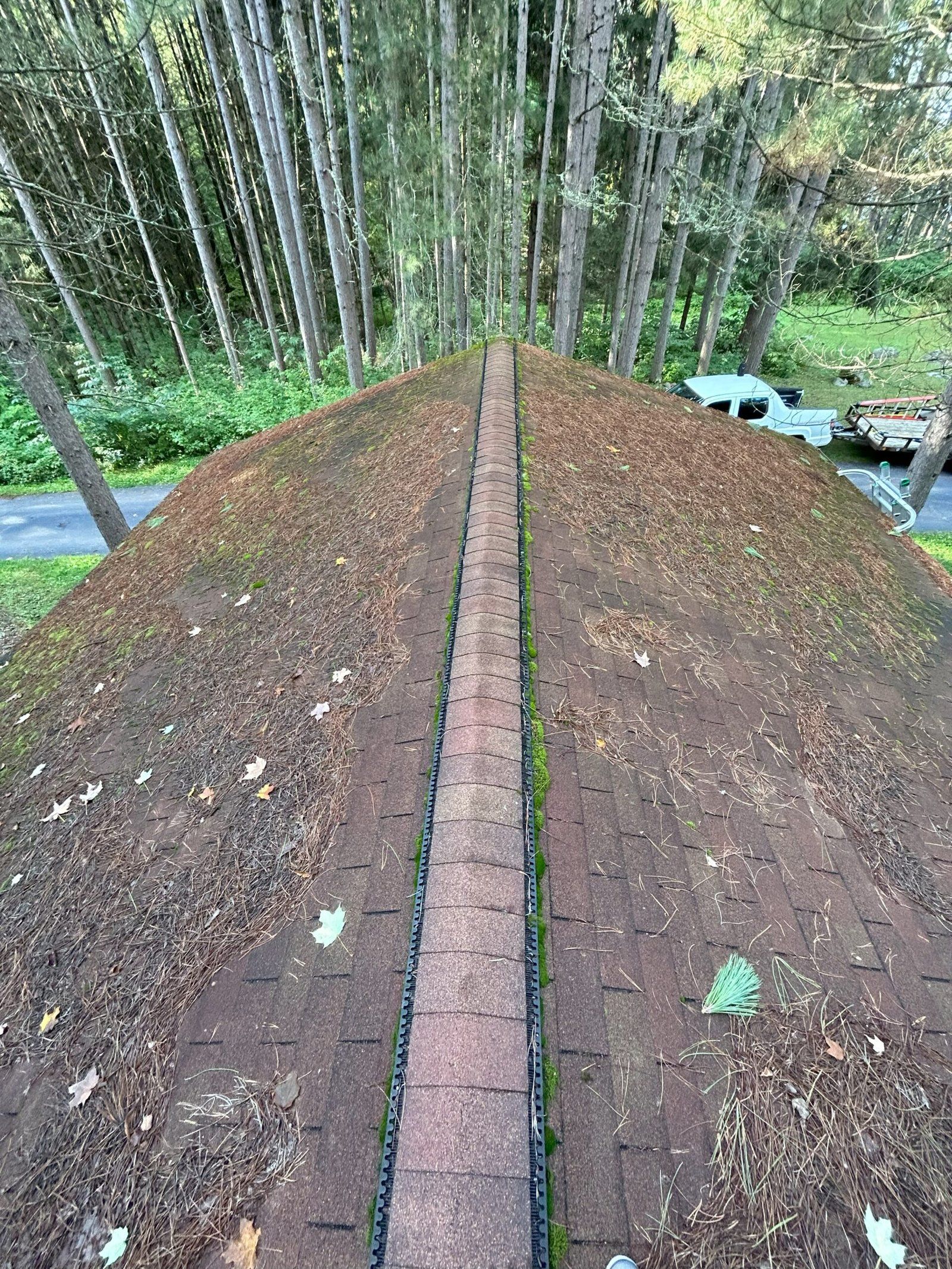 Shingle roof before cleaning, covered in pine needles and moss