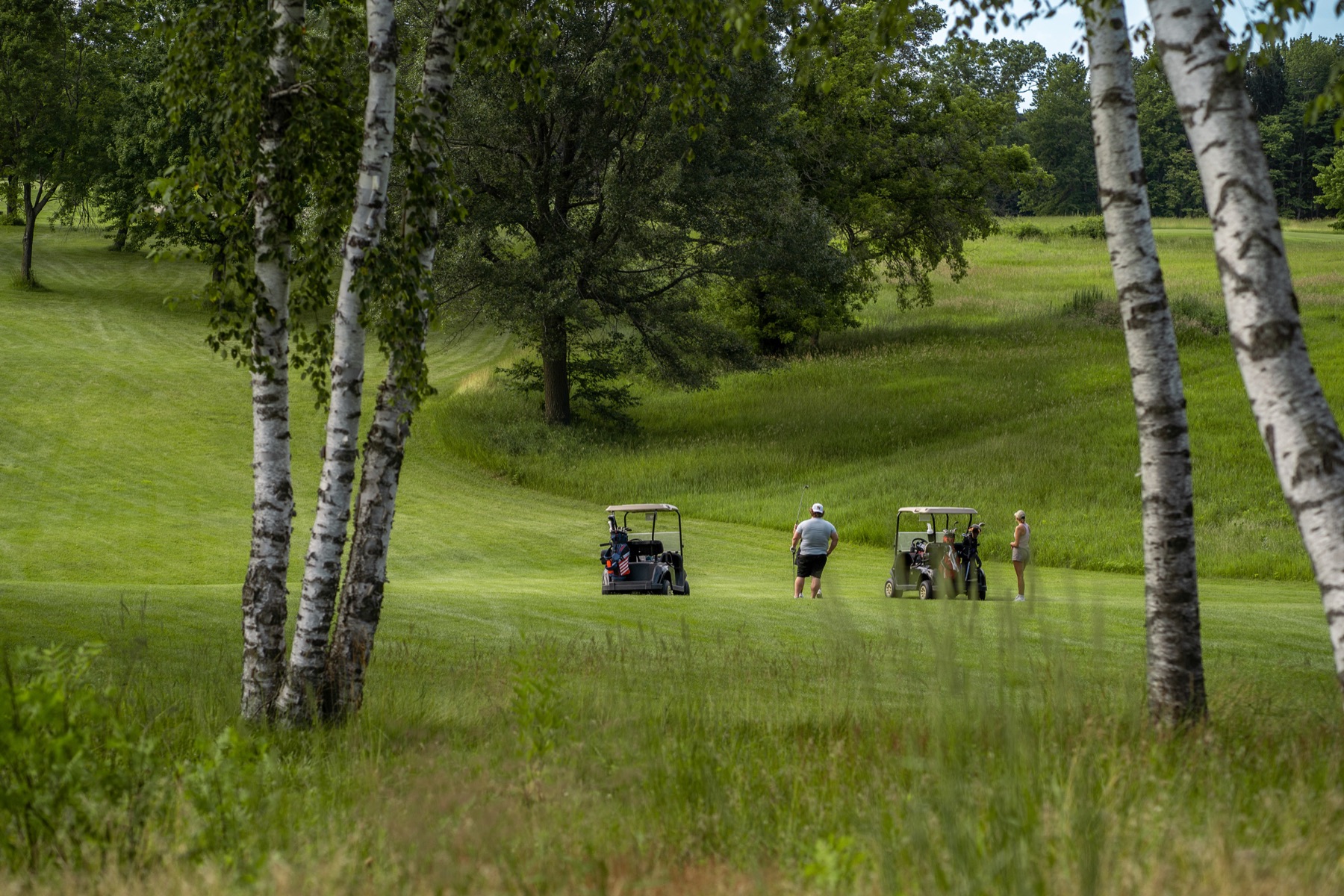 Golfers and carts on a birch-lined fairway at Tanglewood Greens
